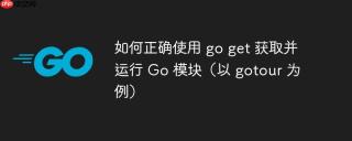 如何正确使用 go get 获取并运行 Go 模块（以 gotour 为例）