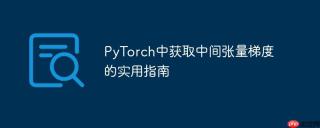 PyTorch中获取中间张量梯度的实用指南