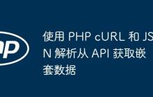使用 PHP cURL 和 JSON 解析从 API 获取嵌套数据