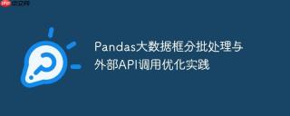 Pandas大数据框分批处理与外部API调用优化实践