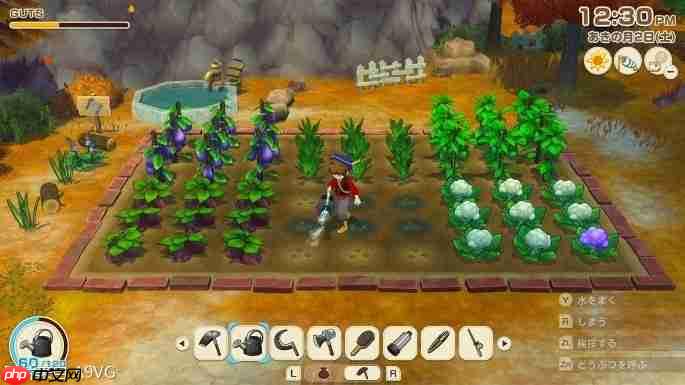 《牧场物语 来吧！风之繁华集市》全球累计出货量突破50万