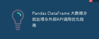Pandas DataFrame 大数据分批处理与外部API调用优化指南
