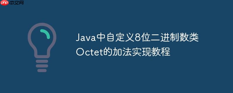 Java中自定义8位二进制数类Octet的加法实现教程
