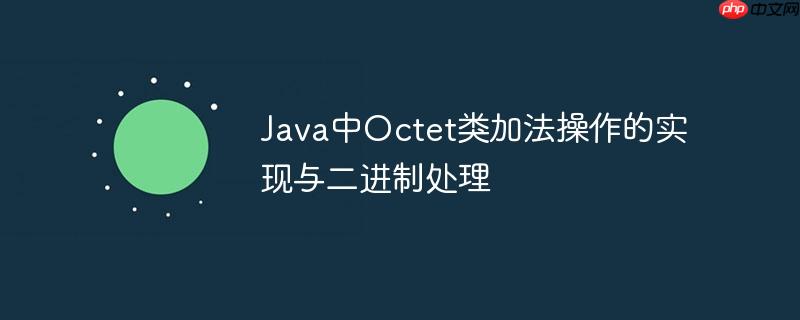 Java中Octet类加法操作的实现与二进制处理