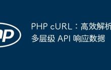 PHP cURL：高效解析多層級 API 響應(yīng)數(shù)據(jù)