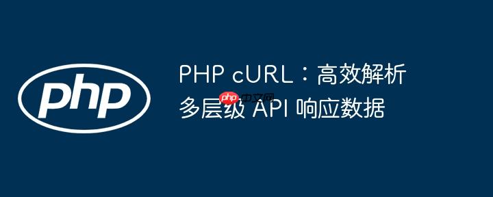 PHP cURL:高效解析多层级 API 响应数据