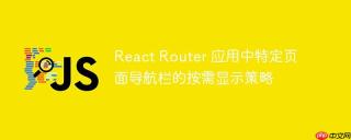 React Router 应用中特定页面导航栏的按需显示策略
