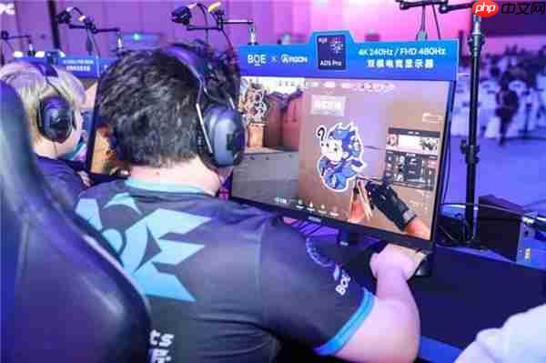 AGON闪耀BOE IPC电竞嘉年华  共燃无畏杯S3终极对决