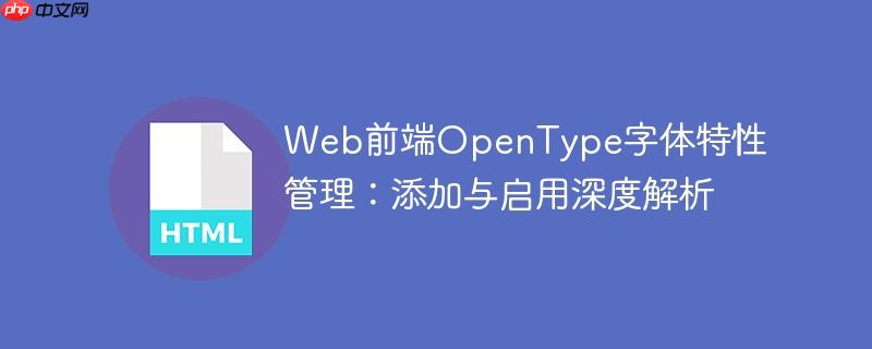 Web前端OpenType字体特性管理:添加与启用深度解析