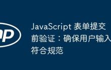 JavaScript 表单提交前验证：确保用户输入符合规范