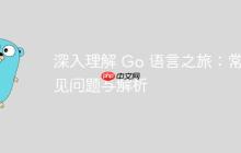 深入理解 Go 语言之旅：常见问题与解析