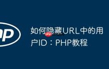 如何隐藏URL中的用户ID：PHP教程