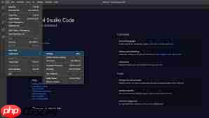 vscode怎么关闭项目文件夹
