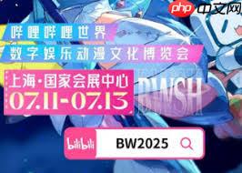 bilibili会员购入口在哪里