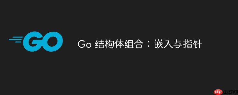 Go 结构体组合：嵌入与指针