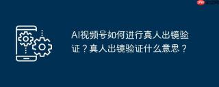 AI视频号如何进行真人出镜验证？真人出镜验证什么意思？