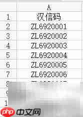 Excel数据批量生成汉信码