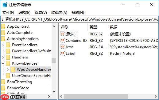 Win10系统删除“自动播放”设置里的设备方法