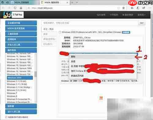 虚拟机安装Win2000指南