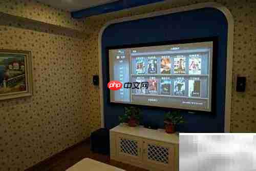 私人影吧组建影响因素