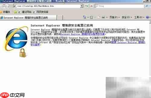 解决Server IE安全配置提示