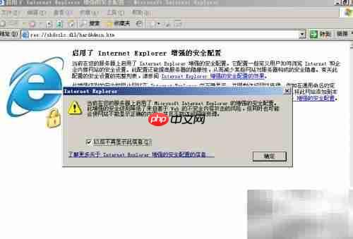 解决Server IE安全配置提示