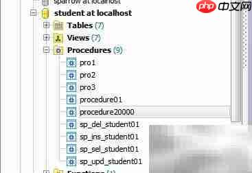 Maestro修改存储过程安全