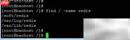 find命令常用功能速查