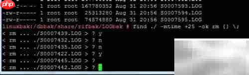 find命令常用功能速查