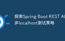 探索Spring Boot REST API的非localhost测试策略