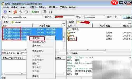 FTP上传工具使用指南