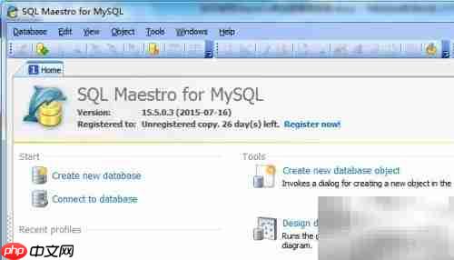 maestro创建存储过程指南