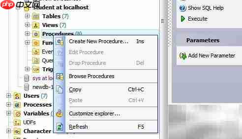 Maestro创建存储过程指南