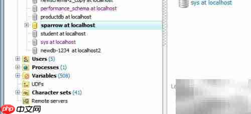 Maestro创建存储过程指南