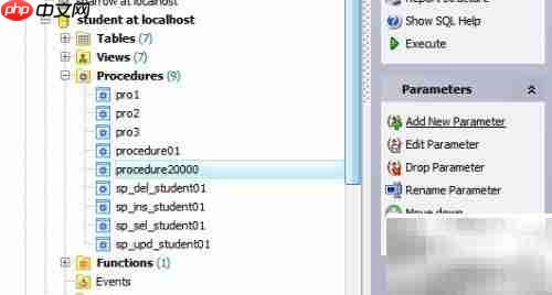Maestro创建存储过程指南
