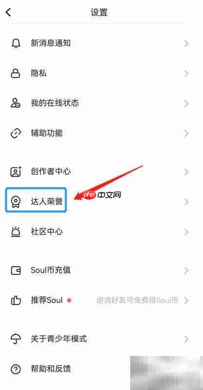 Soul Real勋章墙查看指南