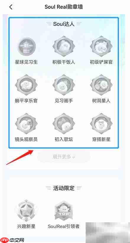 Soul Real勋章墙查看指南