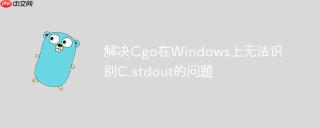 解决Cgo在Windows上无法识别C.stdout的问题