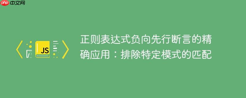 正则表达式负向先行断言的精确应用：排除特定模式的匹配