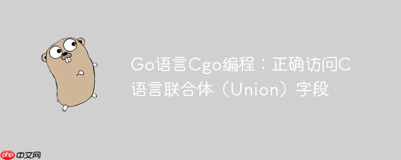 Go语言Cgo编程:正确访问C语言联合体(Union)字段
