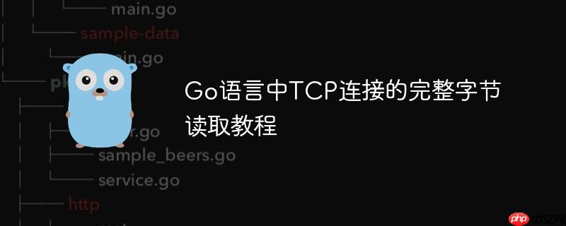 Go语言中TCP连接的完整字节读取教程