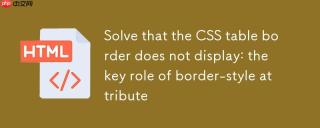 解决CSS表格边框不显示：border-style属性的关键作用