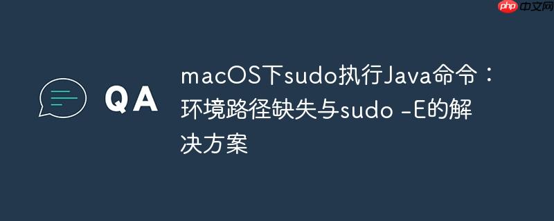 macOS下sudo执行Java命令：环境路径缺失与sudo -E的解决方案
