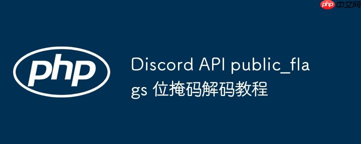 Discord API public_flags 位掩码解码教程