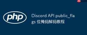 Discord API public_flags 位掩码解码教程