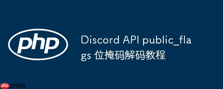 Discord API public_flags 位掩码解码教程