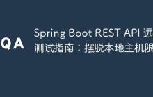 Spring Boot REST API 远程测试指南：摆脱本地主机限制