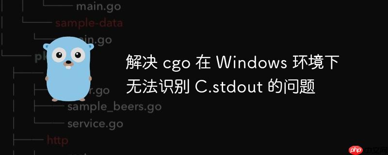 解决 cgo 在 Windows 环境下无法识别 C.stdout 的问题