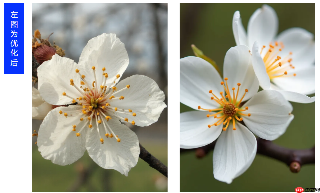 腾讯混元公布 SRPO 技术，解决大模型生图“过油”问题