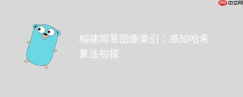 构建简易图像索引:感知哈希算法初探